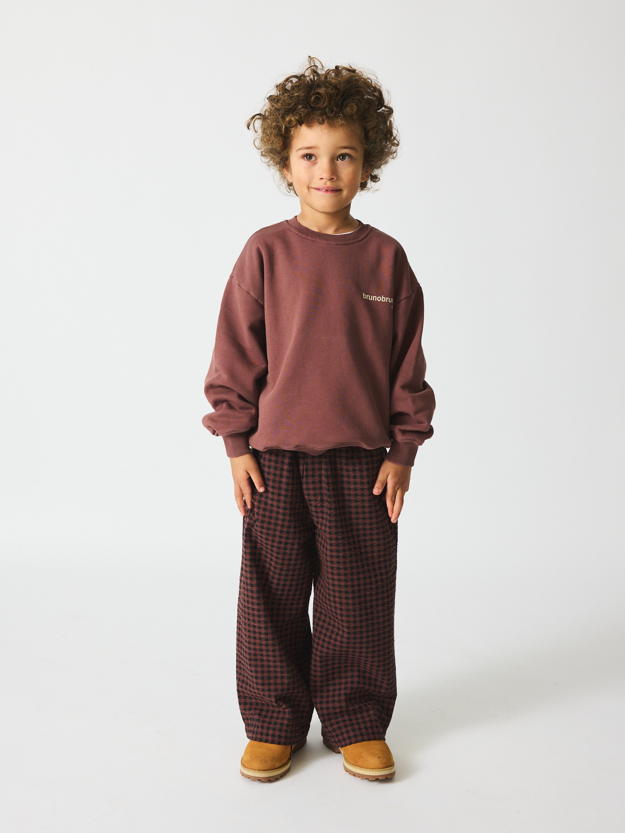 brunobruno nation Francis Seersucker Pants Pants 9021-Marron Plum Check